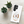 Custom Pet Samsung Case – Pet Color Line art